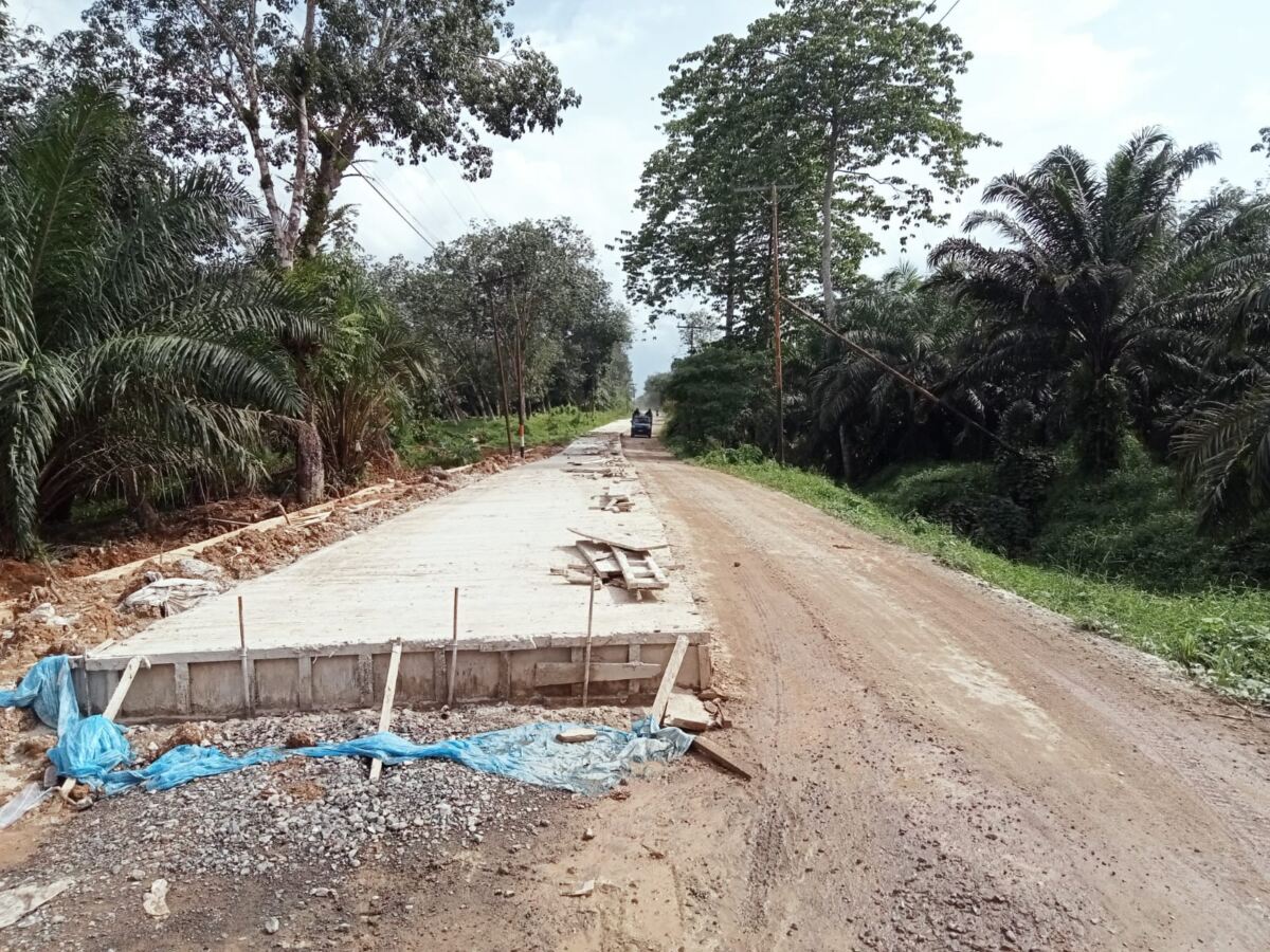IMG 20250212 WA0014 1