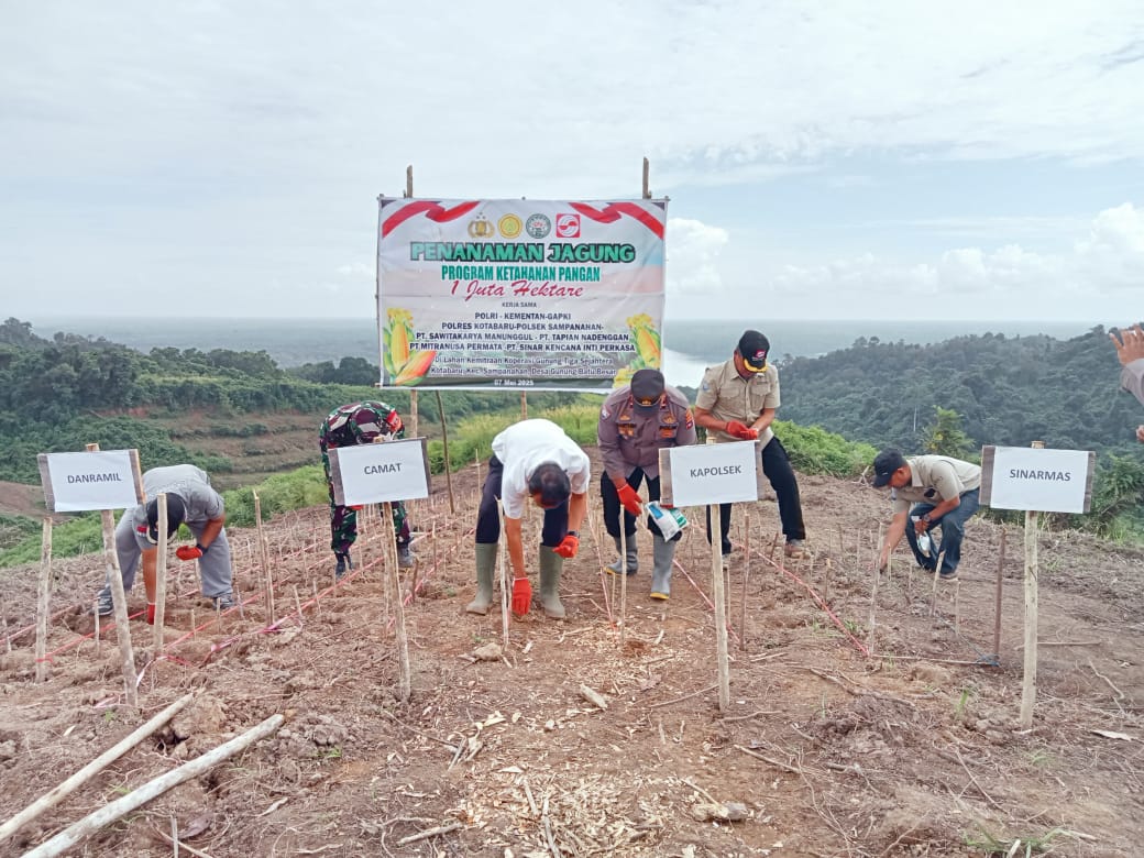 Dukung Ketahanan Pangan Nasional, Polsek Sampanahan dan Sinarmas Group Tanam Jagung