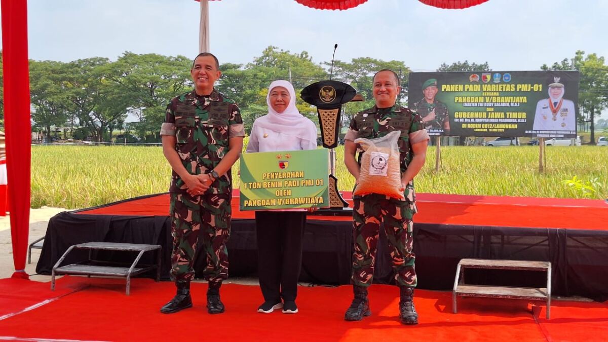 Dandim 0812/Lamongan Dampingi Pangdam V/Brawijaya dan Gubernur Jatim Dalam Kunjungan di Kampung Pandu Jotosanur dan panen padi organik verientas unggul PMJ 01