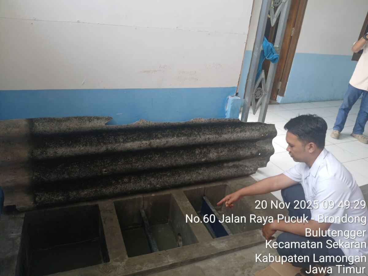 IMG 20251120 WA0006