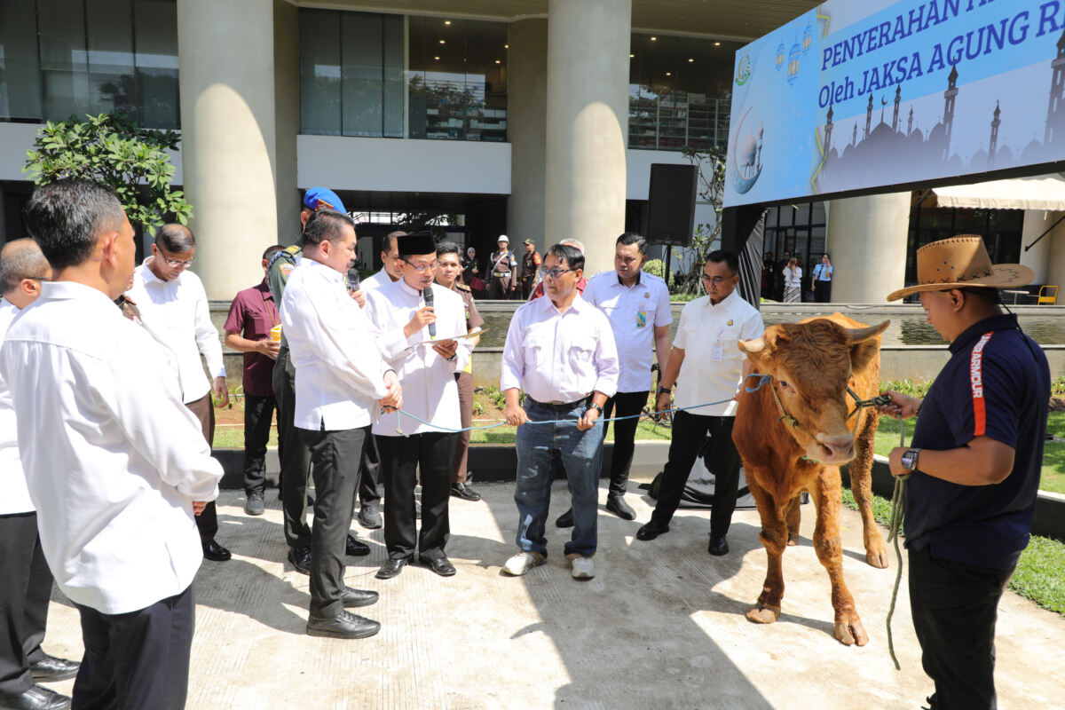 Jaksa Agung Serahkan 1 Sapi Limousin, Ketua Forwaka Baren AS : Wujud Nyata Kepedulian Insan Adhyaksa